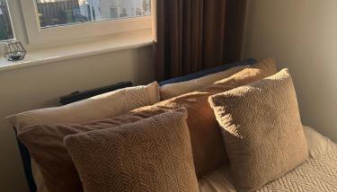 Black Daisy - Foto 5