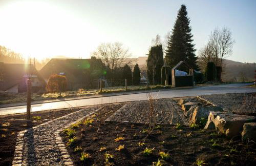 Exklusive Cabins am Rursee inmitten der Natur – mlab relax Eifel - Foto 39