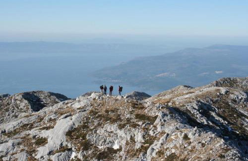 Villa Matia with pool - Foto 50