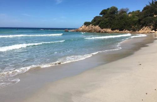 Appartement vue mer à 1min de la plage PIETROSELLA - Foto 7