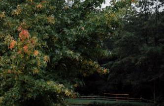 Casa Slow avec sa piscine chauffée au bord du lac - Foto 29