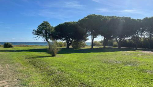 Corsica Poggio - Foto 4