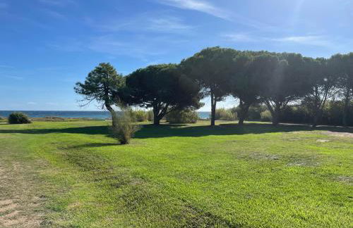 Corsica Poggio - Foto 4