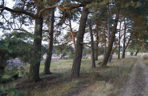 Ferienhaus Wahlers - Foto 41