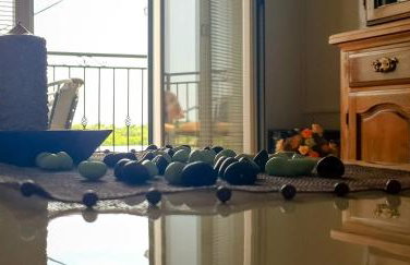 Bicho House - Foto 23