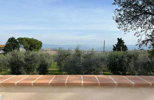 Agriturismo Giorgini - Foto 11