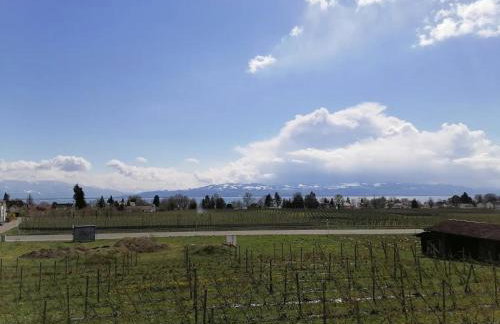 Haus Agatha - Foto 36