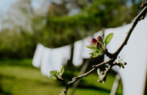 Przystawy Agroturystyka - Foto 24