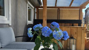 Domek Polna Cisza Bieszczady - Foto 5