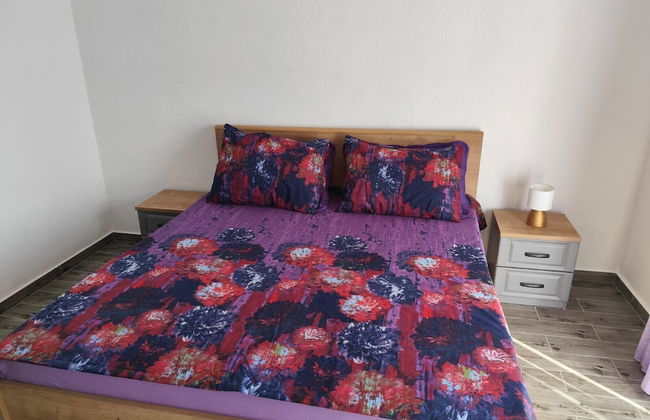 Apartments Lile - Photo 10