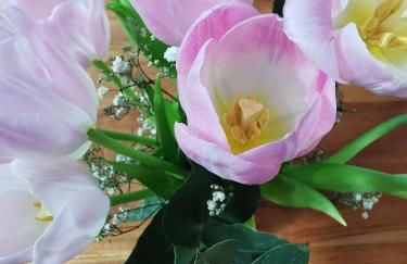 Ferienwohnung Wanderlust - Foto 9