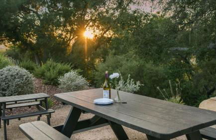 Vineyard Views w Pool Game Room Near Trails Wineries Beginnings Ranch Vineyard by AvantStay - Foto 63