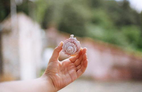 Crosa tra le Nuvole - Foto 36