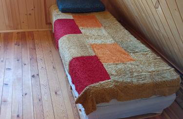 Domek nad Wkrą, okolice Sochocina, kajaki - Foto 16