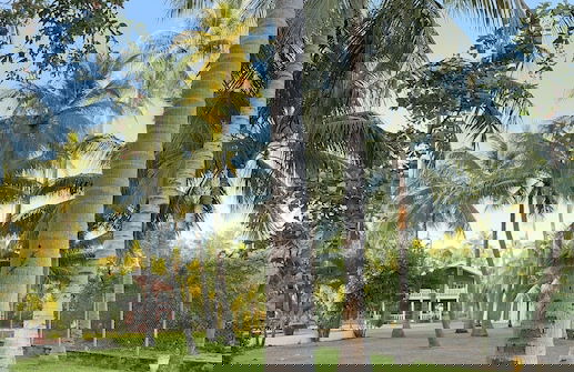 Paradise Bay - Foto 44