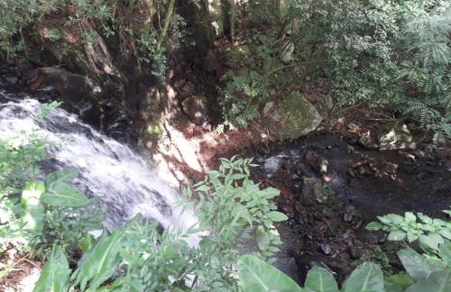 Quinta da Boa Vista São Chico - Foto 59