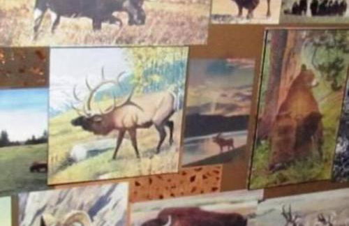 Cabin on the Corner - Foto 13