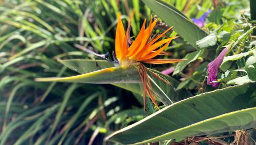 Casita Vista Valle 35 - Foto 4