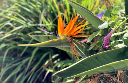 Casita Vista Valle 35 - Foto 4