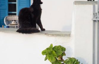 Petit Sunset - Photo 11