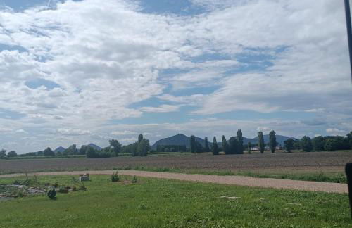 Ecofriendly house Colli Euganei - Photo 29