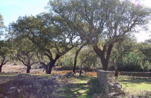 Casa Rural Sierra San Mamede - Foto 48