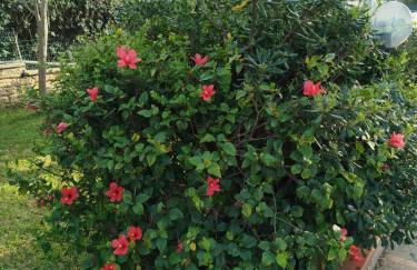 Holiday home Riserva Marina Protetta - Foto 31