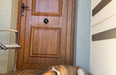 Casas Rurales Cuatro Valles - Foto 146