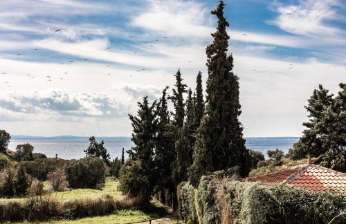 TwinStars apartment with courtyard and view - Foto 32