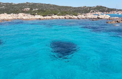 Casa Pineta - Foto 29