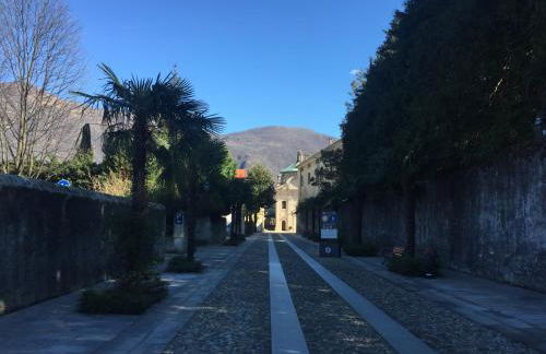 Giardino delle Ortensie - Foto 27