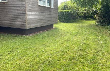 Wood Place - Foto 32