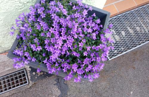 Ferienwohnung am Kocher-Jagst Radweg - Foto 14