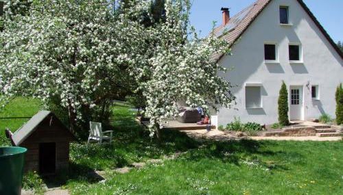 Wonderworld - Foto 1