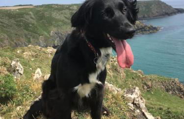 Olive's Cabin - Foto 21