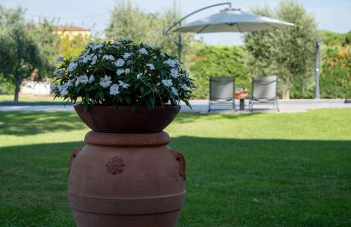 Il Fico e La Civetta - Foto 70