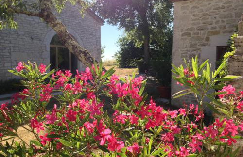 La Vayssade - Grand Gîte de charme - 14 pers - Piscine & Jacuzzi - Photo 36