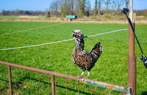 Bed and Bike Rheine - Foto 33