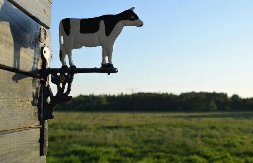 Apartamenty Poświata - z widokiem na łąki - Foto 32