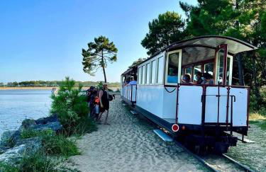 Pomme de Pin et Mimosa - Foto 32