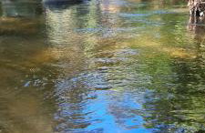 Vivendas Canaã - Foto 17