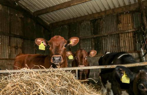 Manor House Farm Cottage - Foto 23