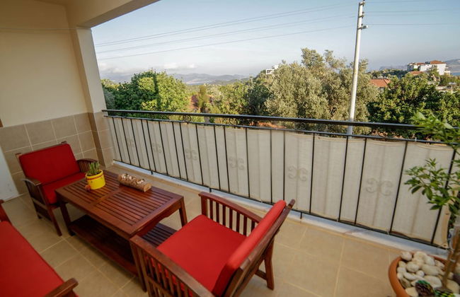 Kaktus Gokseki - Foto 12