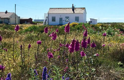 Charming original fishermans cottage on Dungeness beach - Photo 6
