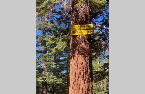 Comfy, Quiet, Condo near Lake Mary and the Village - Foto 45