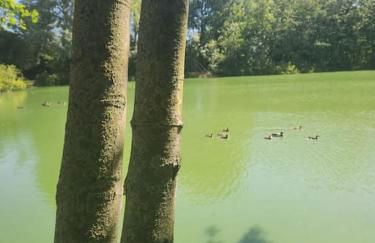 La Perle de l'Étang - Déconnexion totale - Foto 36