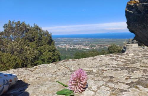 Casa Pernice - Foto 31