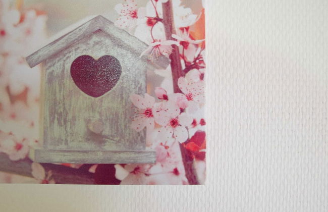 Apartment in Champlon Ardenne - Photo 24