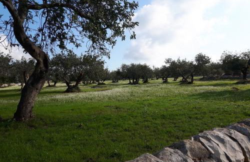 Scicli Città felice - Foto 13