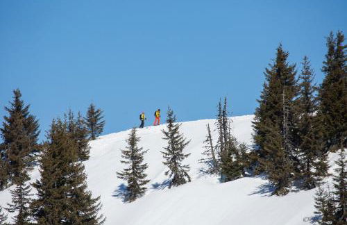 Chez Francine - Photo 52